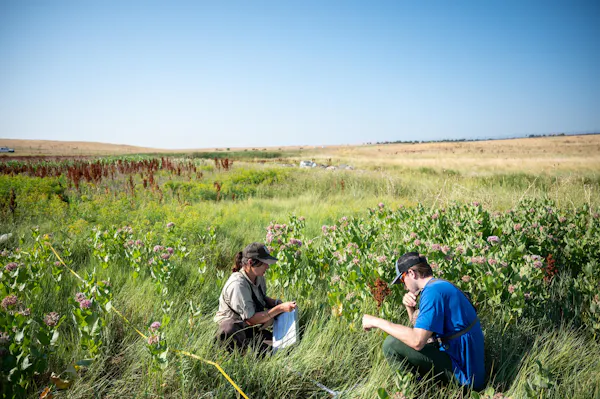 Two people take notes in a field of wildflowers.