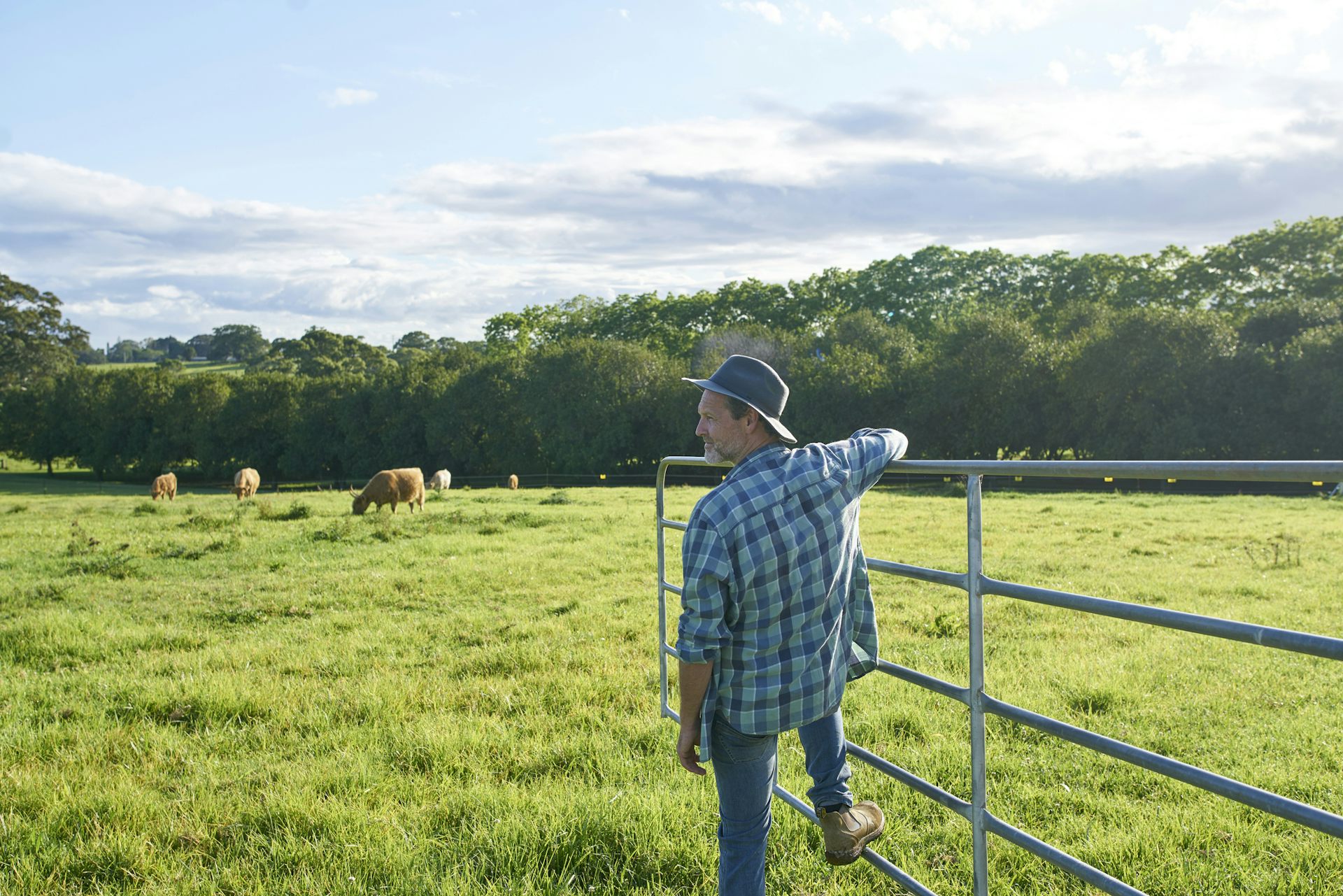 Farmers are boosting their profits and production – with nature’s help