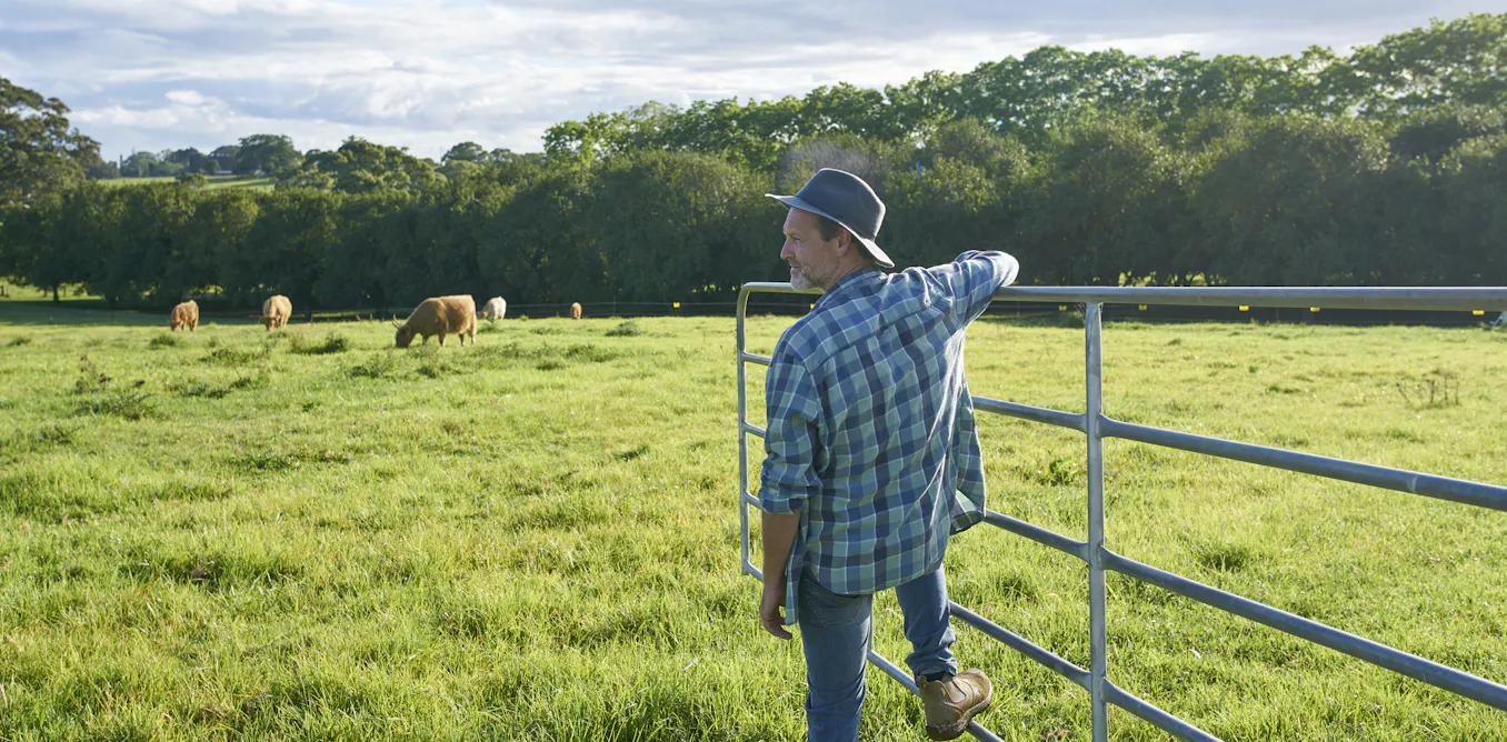 Farmers are boosting their profits and production – with nature’s help