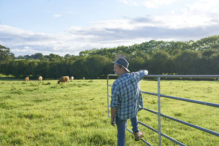 A male farmer holds onto a farm gate while looking out onto a paddock.