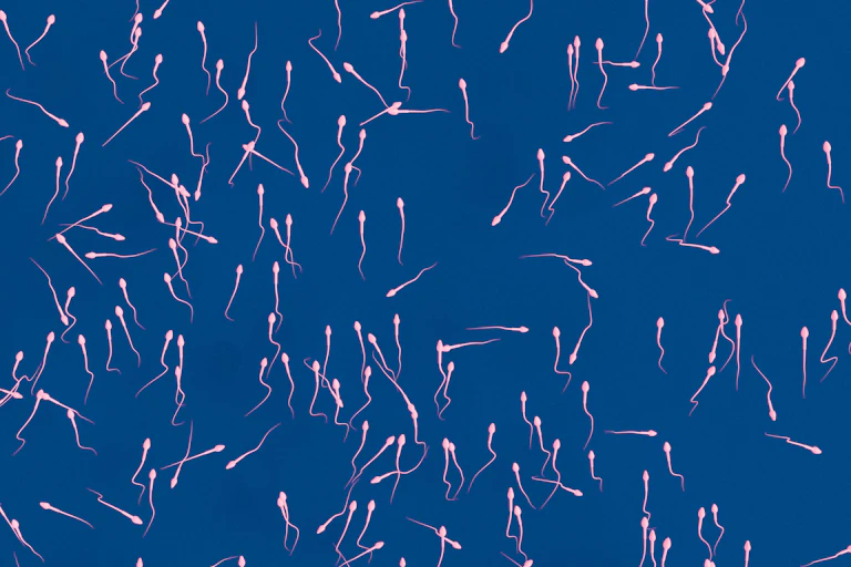 Des spermatozoïdes sur un fond bleu (vue d’artiste).