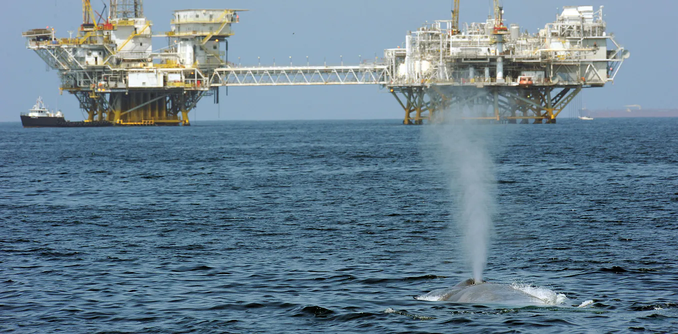 Trump’s ‘God Squad’ pits energy vs. endangered species, but it’s a false choice – protecting wildlife can be good for business Trump’s ‘God Squad’ pits energy vs. endangered species, but it’s a false choice – protecting wildlife can be good for business