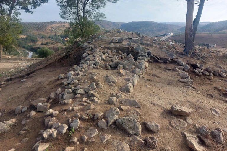 A photograph of an excavation site with rows of stones alongside one another protruding from the earth along a slight ridge, trees in the background.