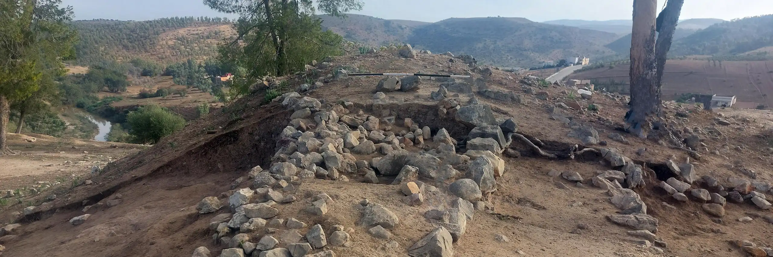 A photograph of an excavation site with rows of stones alongside one another protruding from the earth along a slight ridge, trees in the background.