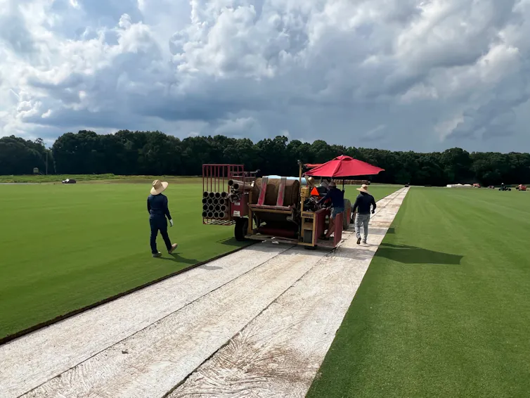 People walk beside a machine that is harvesting sod.