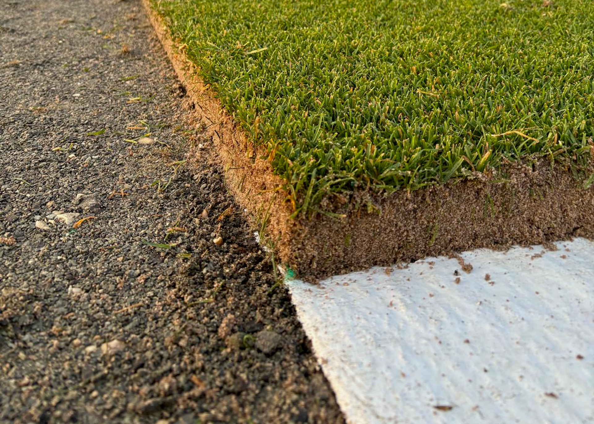 The edge of sod grown on plastic that has been cut and recently harvested.