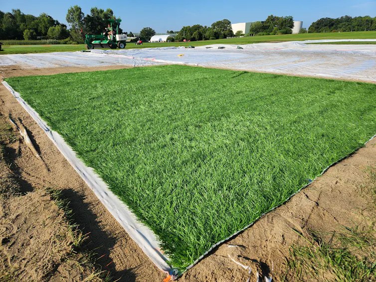 Diseñamos el campo para la Copa Mundial de la FIFA más grande de la historia: así es como creamos la misma experiencia de juego en 3 países 3 file 20260328 57 cdb981.jpg?ixlib=rb 4.1