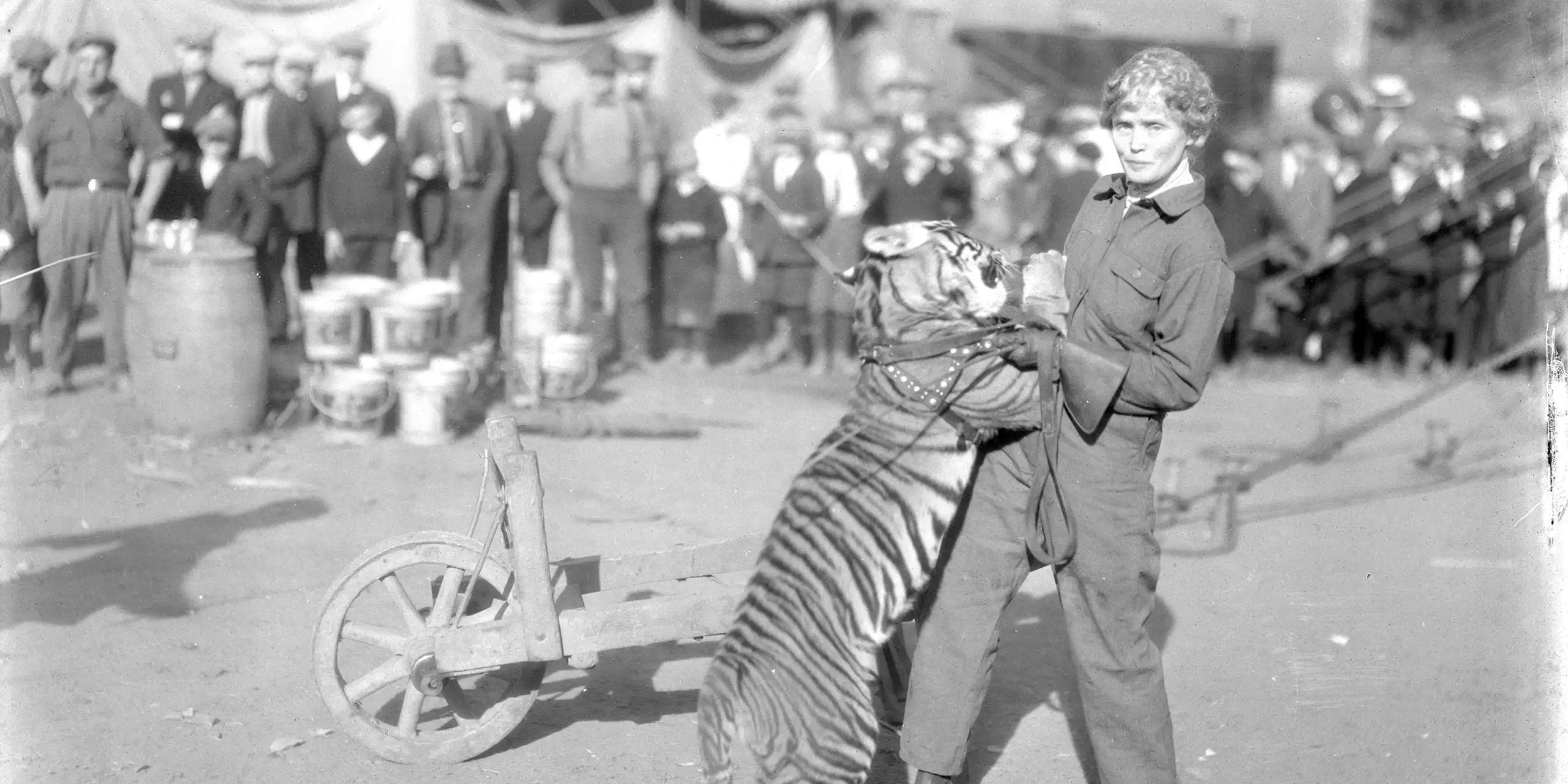 Mabel Stark et un tigre.