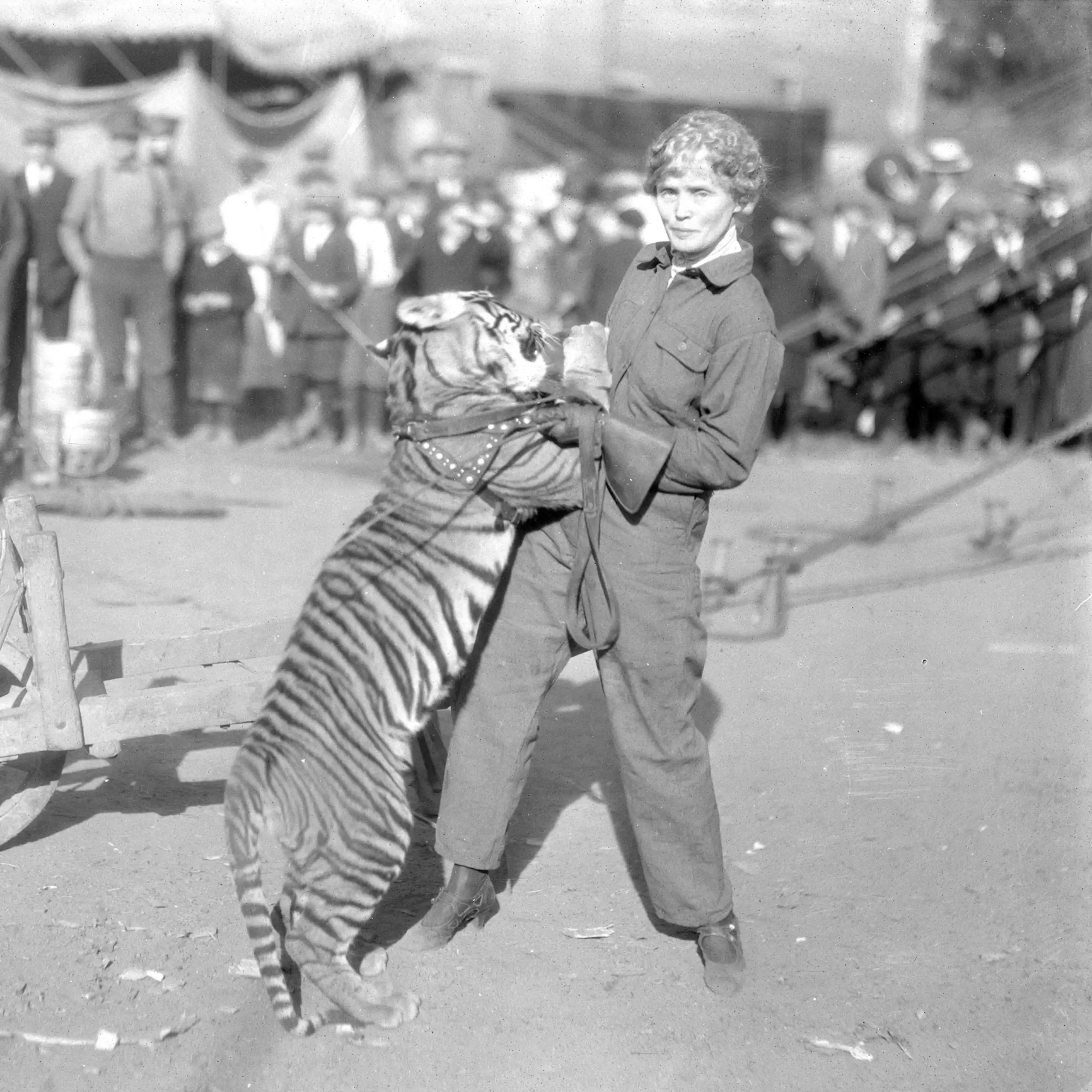 Mabel Stark et un tigre.