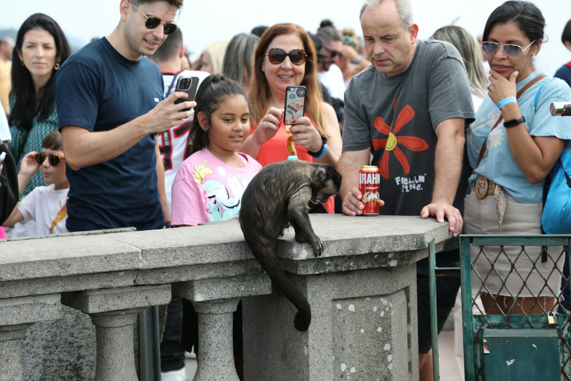 Un groupe de touristes observe un singe.
