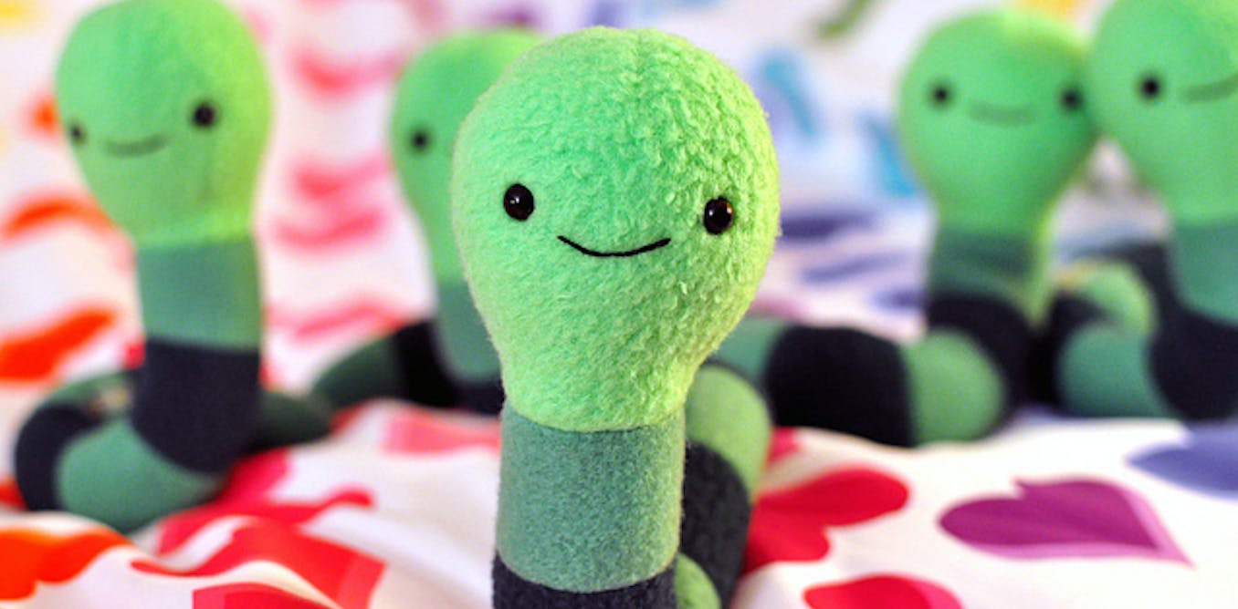 Health Check The Low Down On Worms And How To Get Rid Of Them