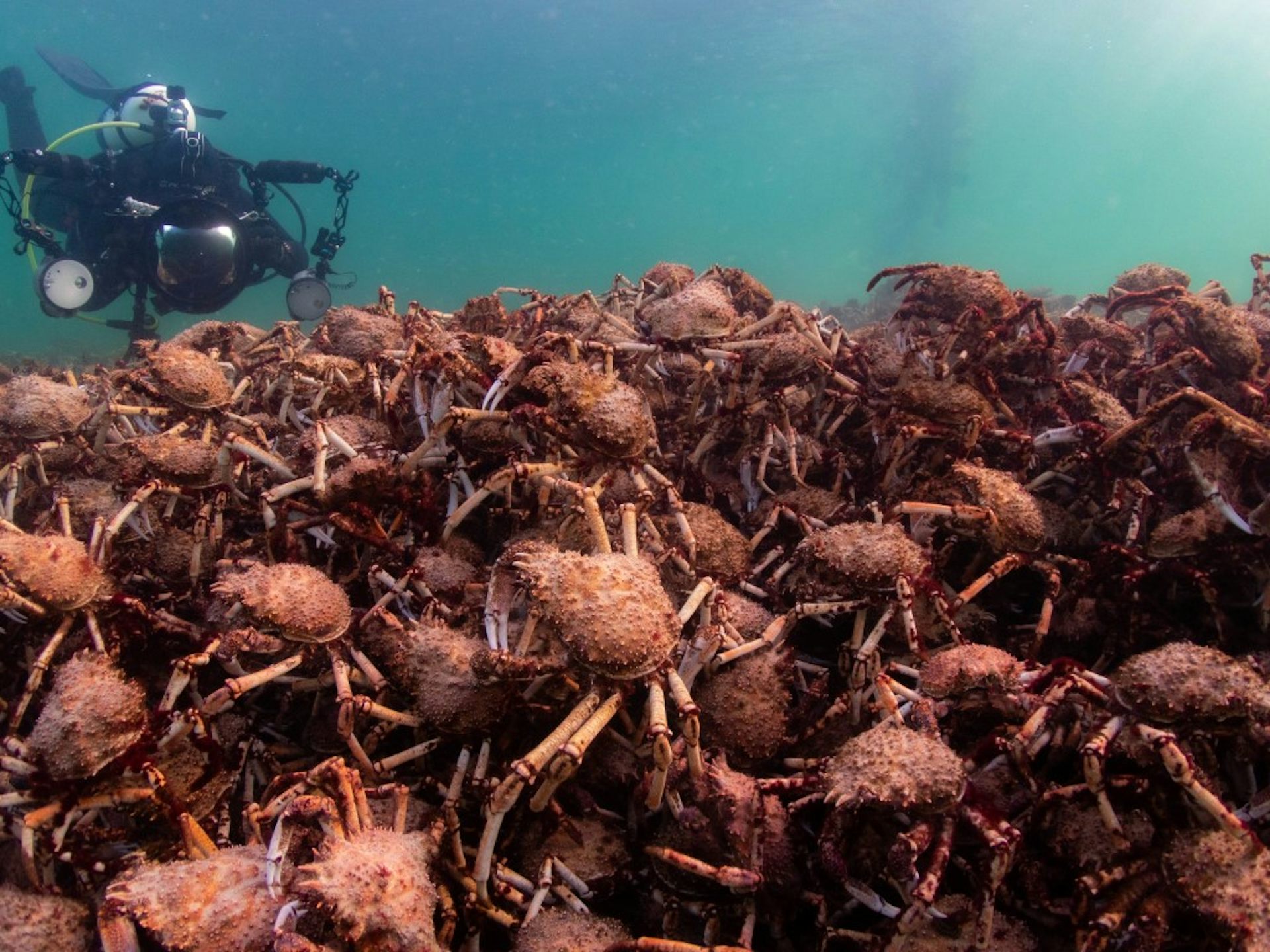 Want to be a citizen scientist? Here are 5 ways to get involved