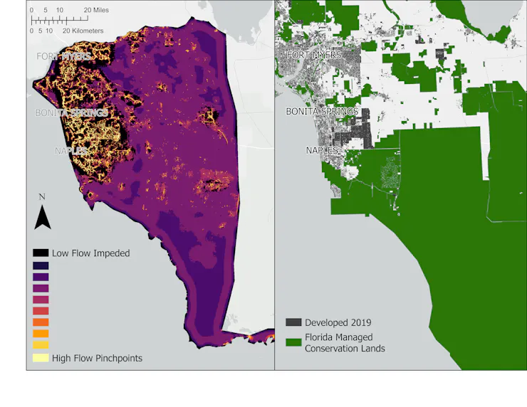 Two maps of the Big Cypress fox squirrel's habitat in southwest Florida