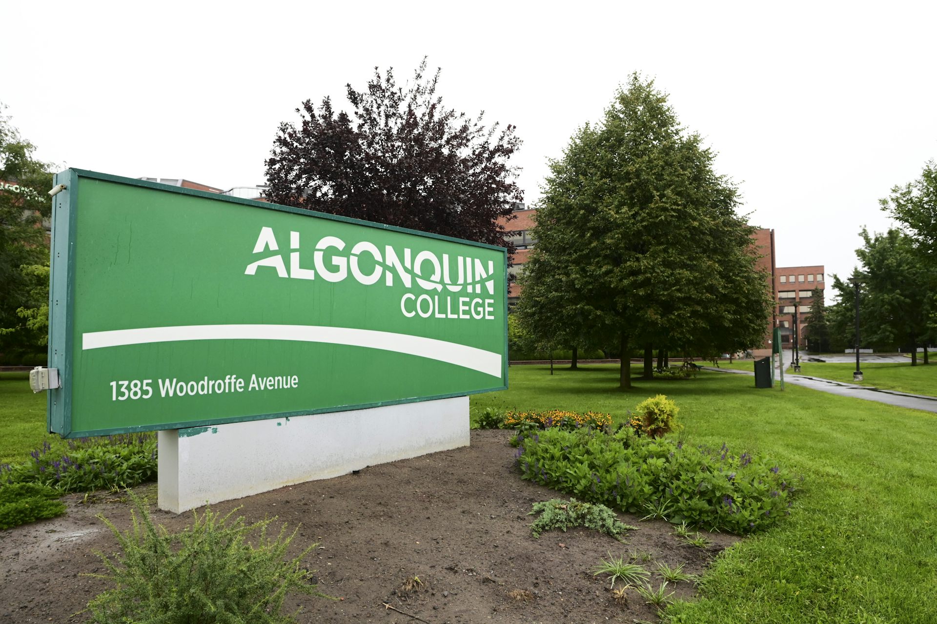 A green sign says Algonquin College in front of trees. 