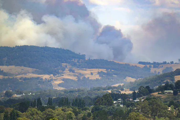 landscape shot of rural tasmania showing bushfire smoke.