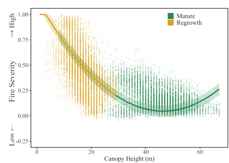 figure showing a curve where regrowth eucalypt forests burn more intensely and mature forests less.