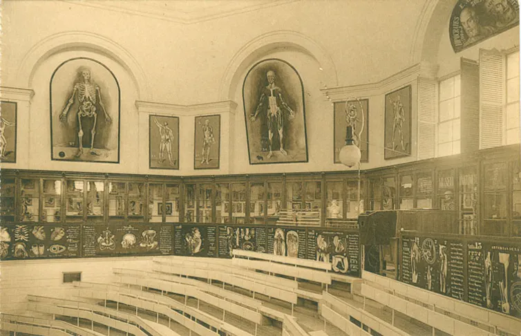 Anfiteatro y colección de modelos anatómicos de la Facultad de Medicina de la Universidad de Valladolid