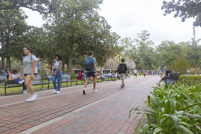 People are seen in shorts and shirts and backpacks walking along a cobblestone path with trees around them.