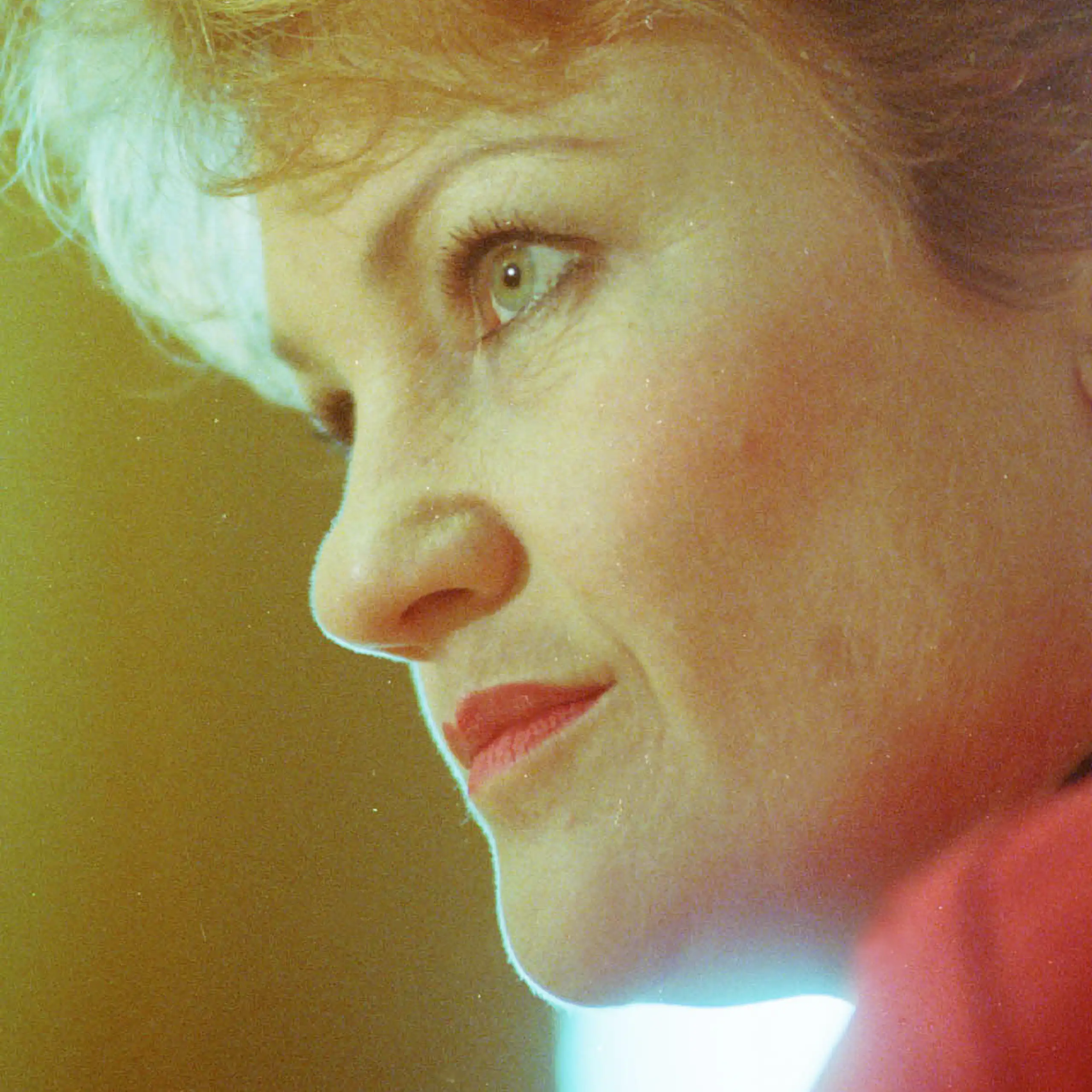 alt:Pauline Hanson looking frantic