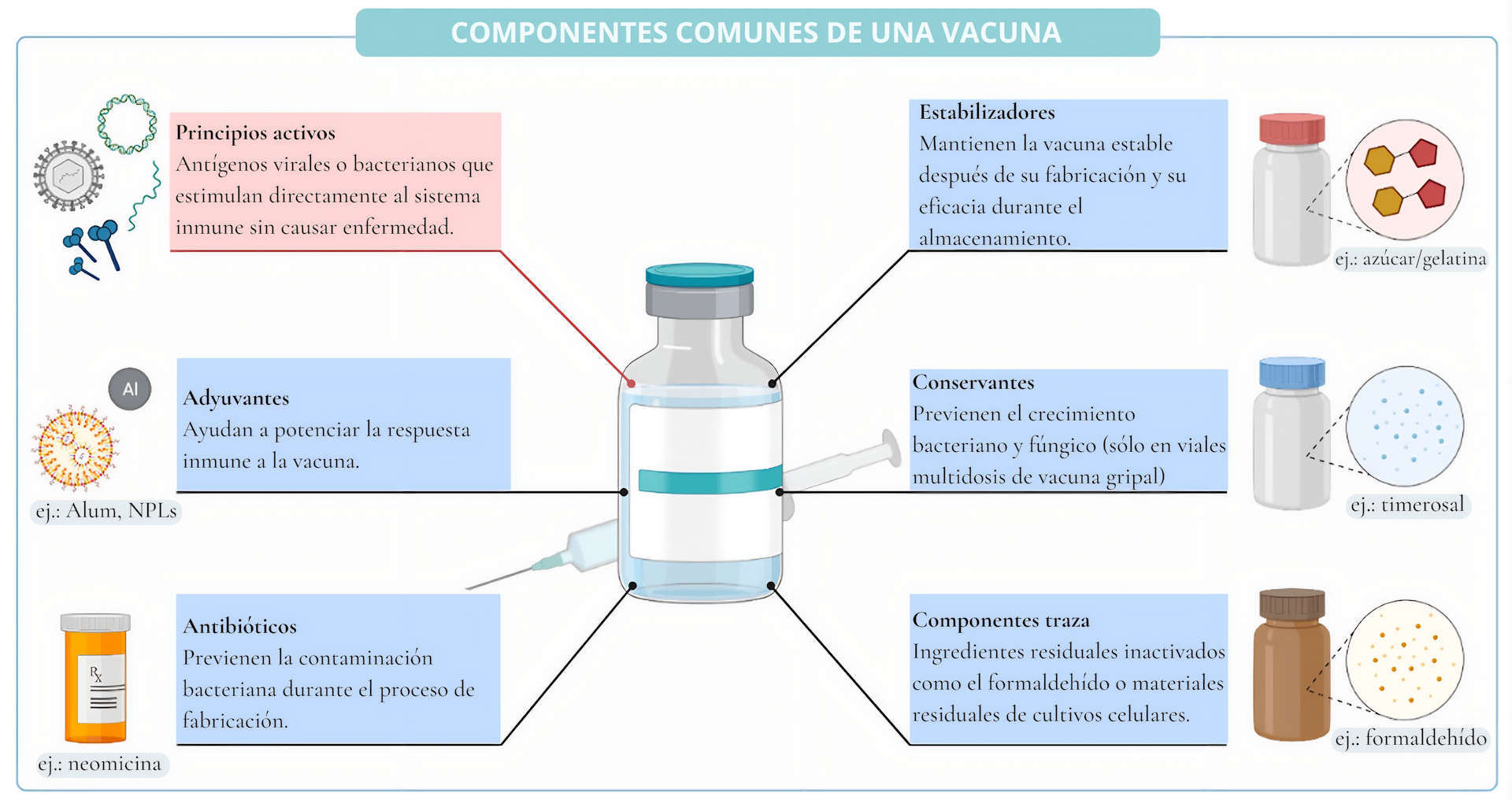 Diagrama de componentes de la vacuna.