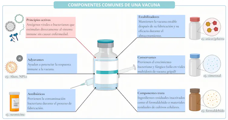 Esquema componentes vacuna