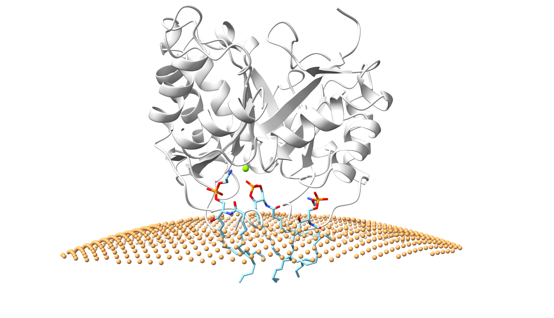 Una ilustración de una masa de espirales y bandas grises colocadas sobre una superficie amarilla que se asemeja a una cuadrícula.