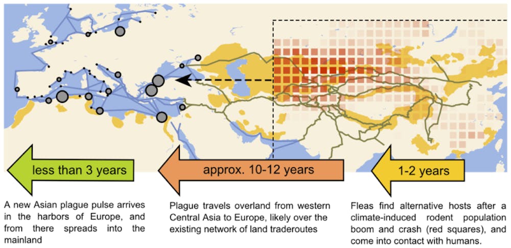 Plague Outbreaks That Ravaged Europe For Centuries Were Driven By Climate Changes In Asia