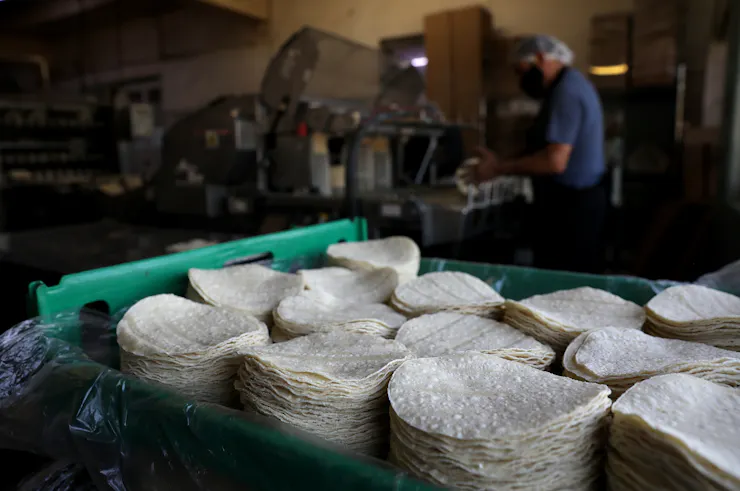 Stacks of round tortillas sit in a plastic carrying crate.