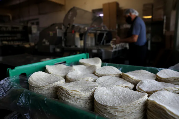 Stacks of round tortillas sit in a plastic carrying crate.