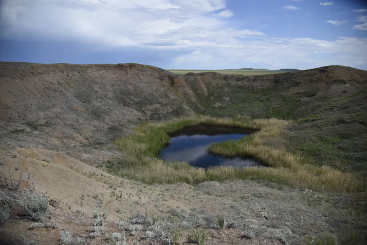 un charco de agua rodeado de pastos en una depresión en un paisaje polvoriento