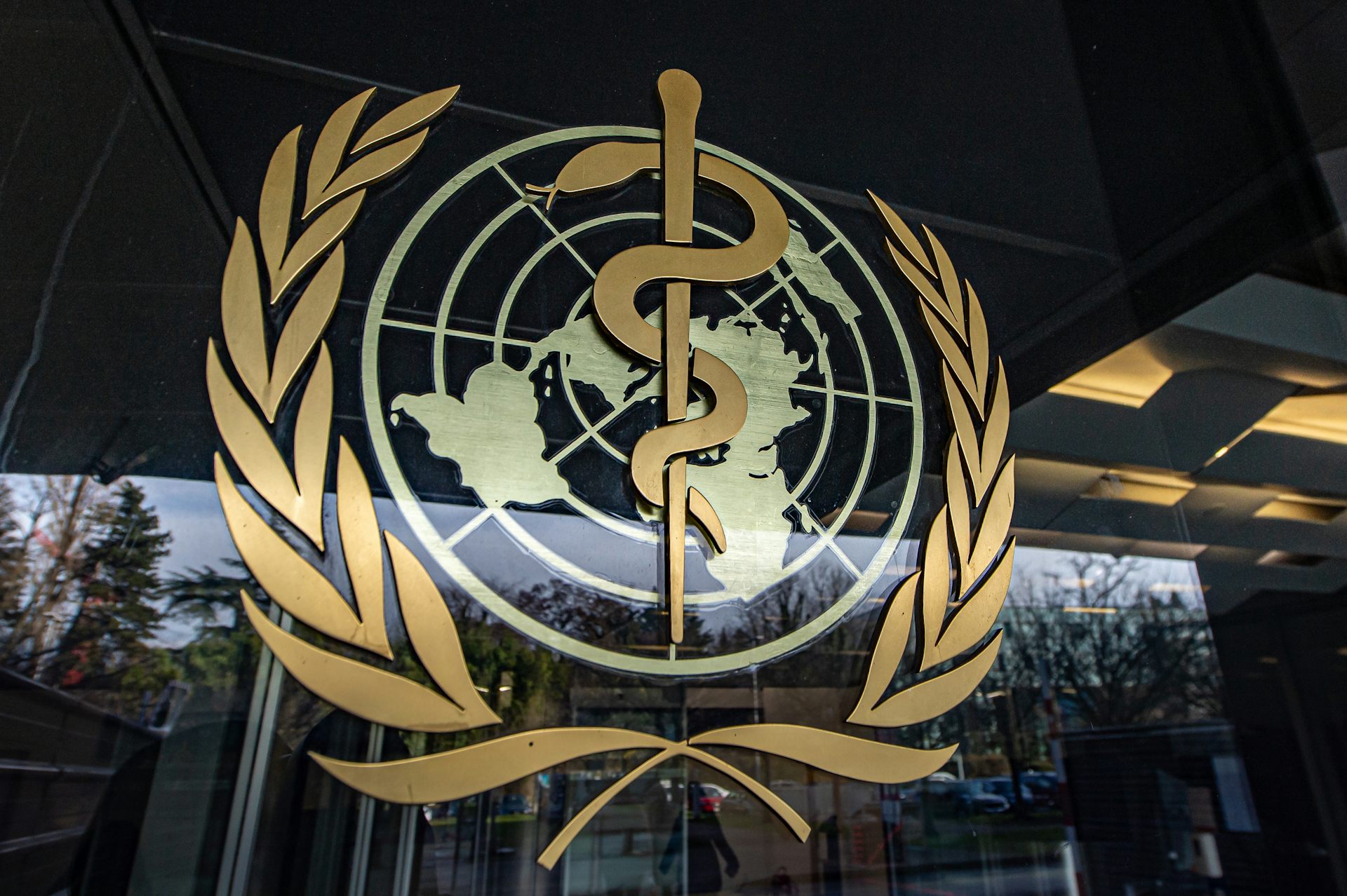 NZ’s rejection of new WHO pandemic rules makes no real sense