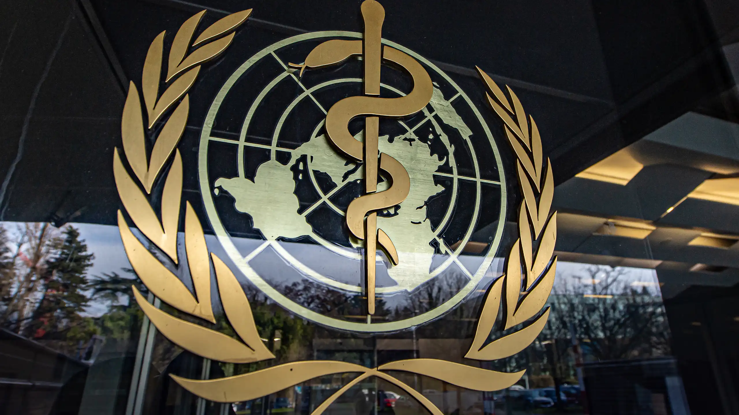 The World Health Organization symbol mounted on a glass wall