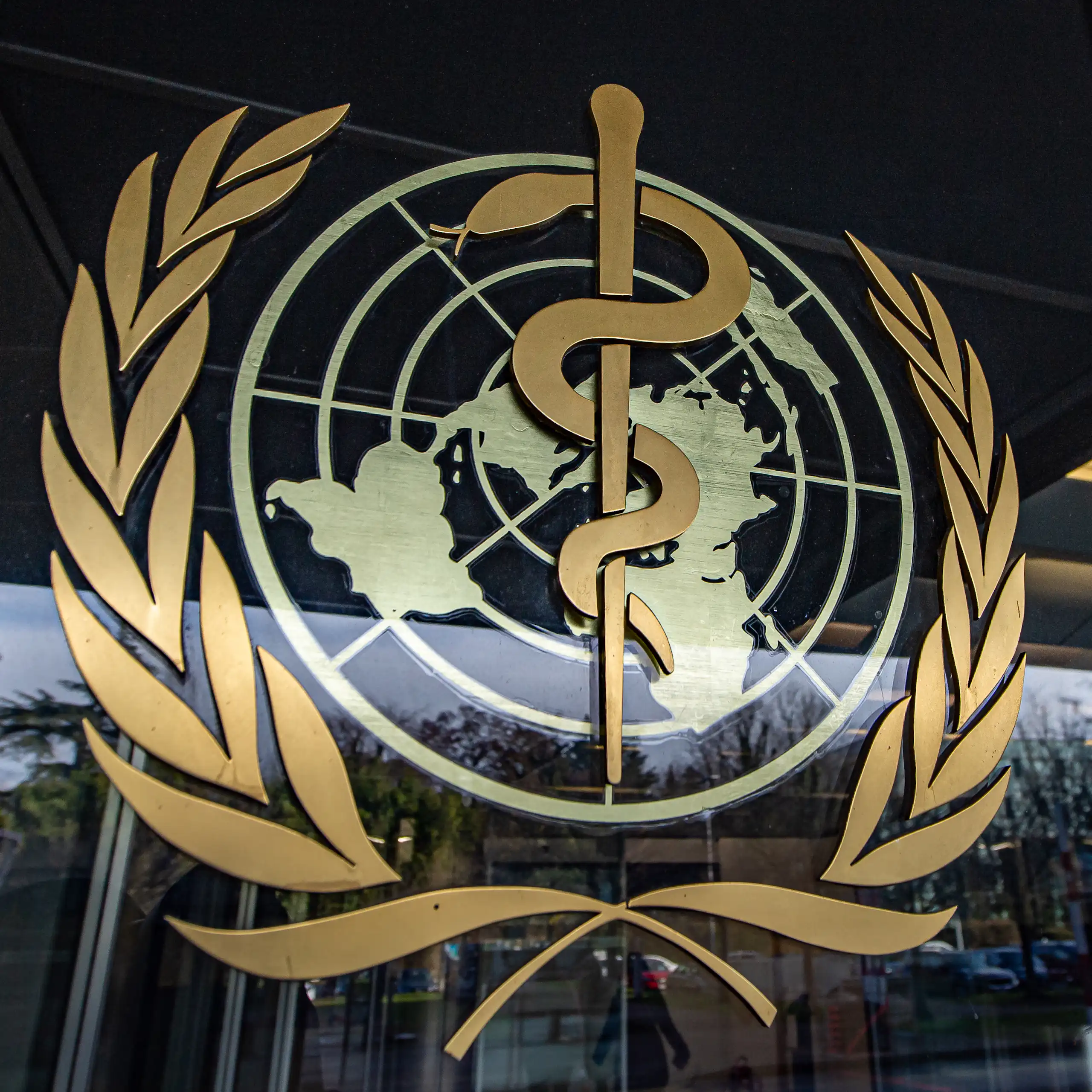 The World Health Organization symbol mounted on a glass wall