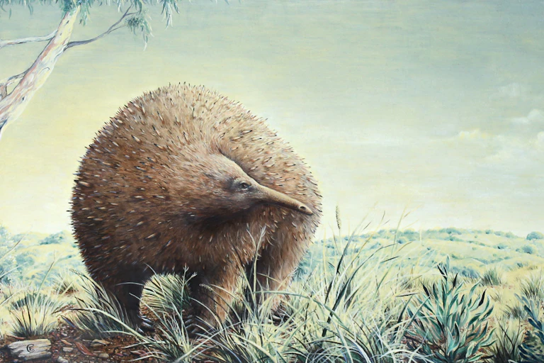An oil painting of the extinct long-beaked echidna standing beneath a eucalypt tree among rolling Australian hills.
