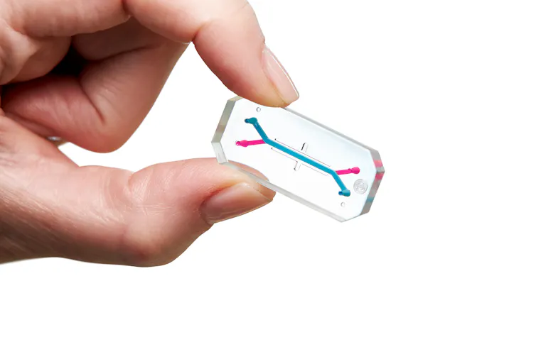 The science of Artemis II: experiments on board 1 file 20260407 57 cbuom5.jpg?ixlib=rb 4.1