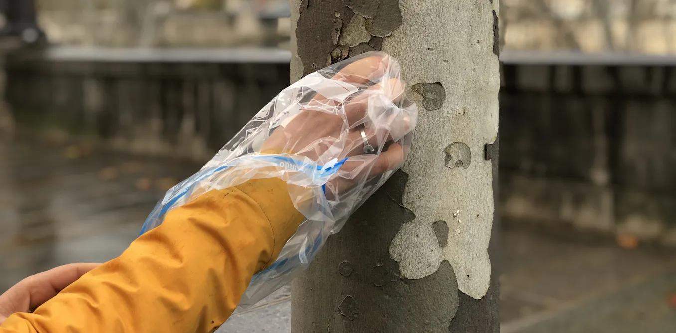 Mesurer l’invisible : ce que l’écorce des arbres nous apprend de la pollution de l’air à Paris Mesurer l’invisible : ce que l’écorce des arbres nous apprend de la pollution de l’air à Paris