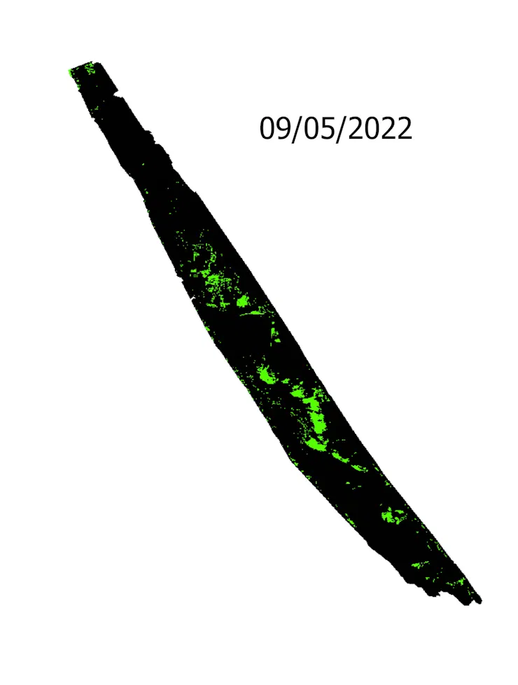 timelapse gif of Mosquito Lagoon seagrass coverage