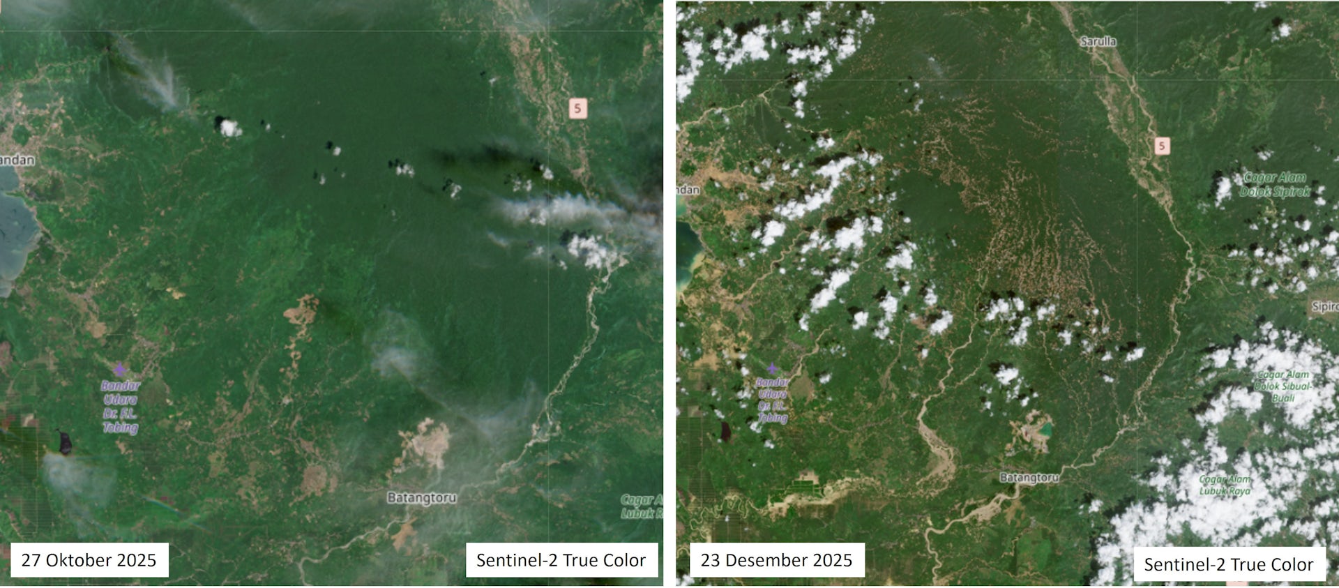 Angka deforestasi meningkat, bayang-bayang krisis dan bencana mengintai