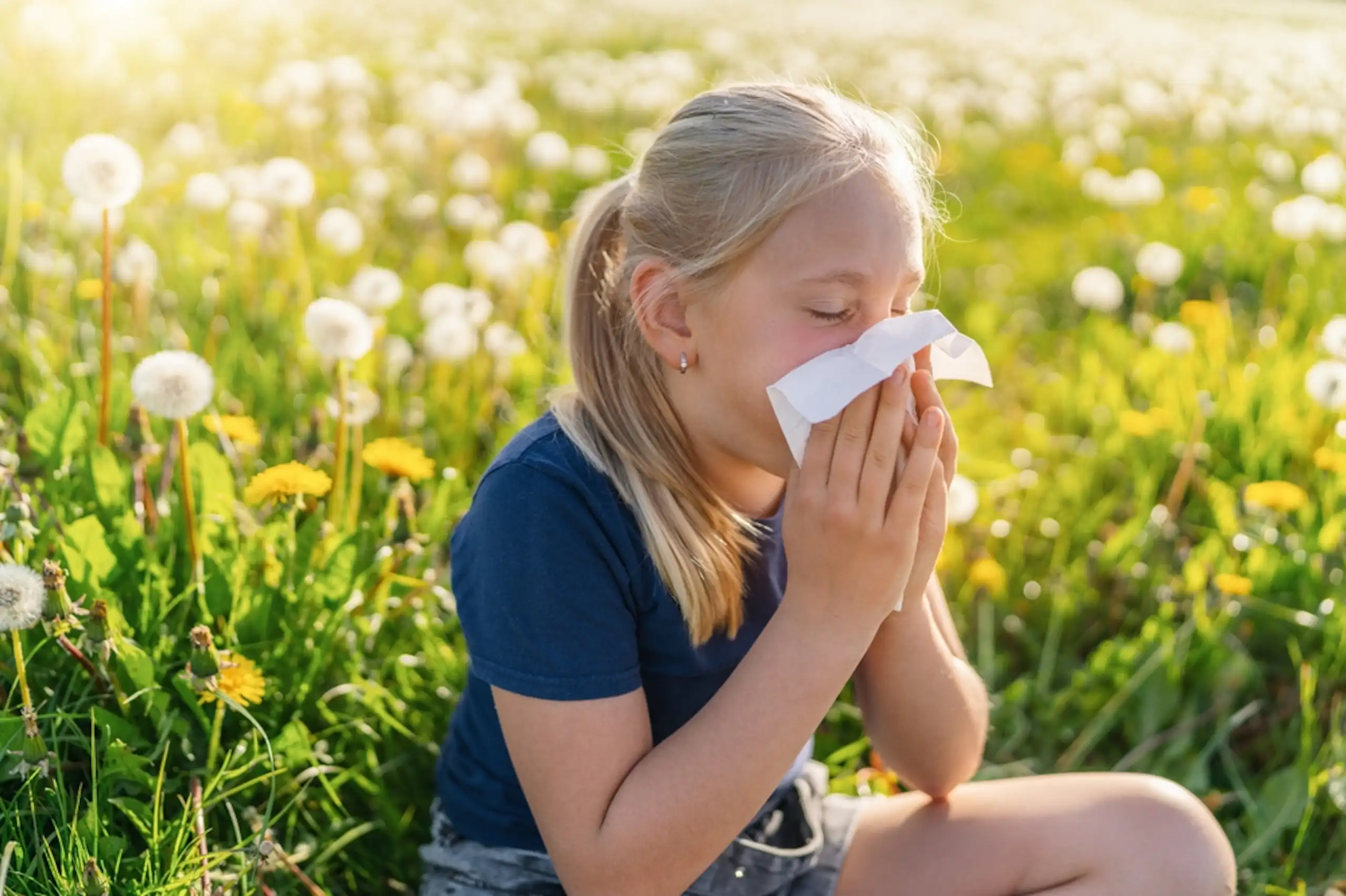 Una niña sonándose la nariz en un campo de flores