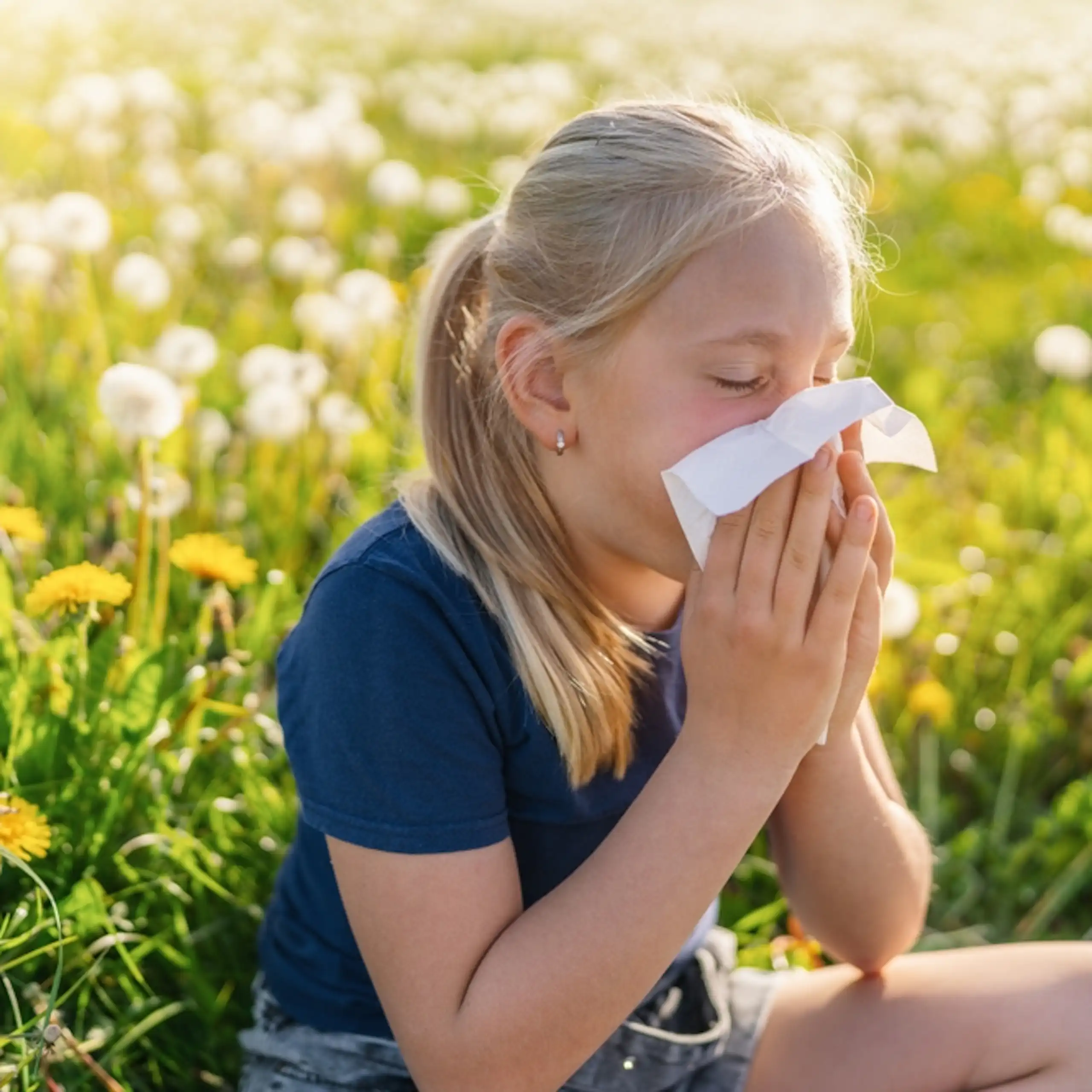 Una niña sonándose la nariz en un campo de flores
