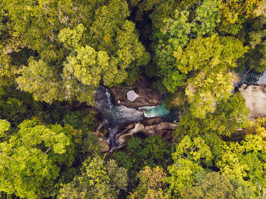 theconversation.com - Alex Dryden - Turning debt into forests: the finance tool making a comeback