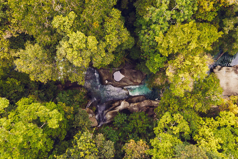 drone shot of forest with waterfall