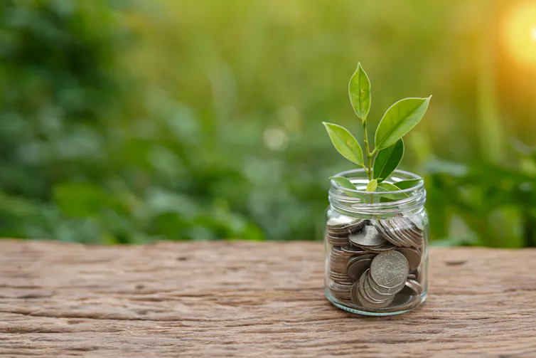 jamjar of coins with plant growing, green plants in background