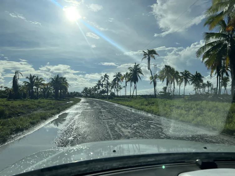 La lluvia fue fotografiada desde un automóvil y hay palmeras a lo largo de la carretera.
