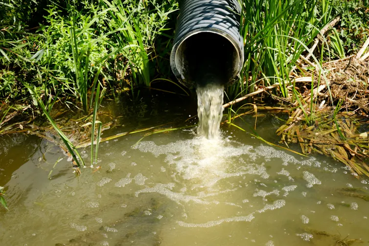 A sewage pipe pours water into a river.