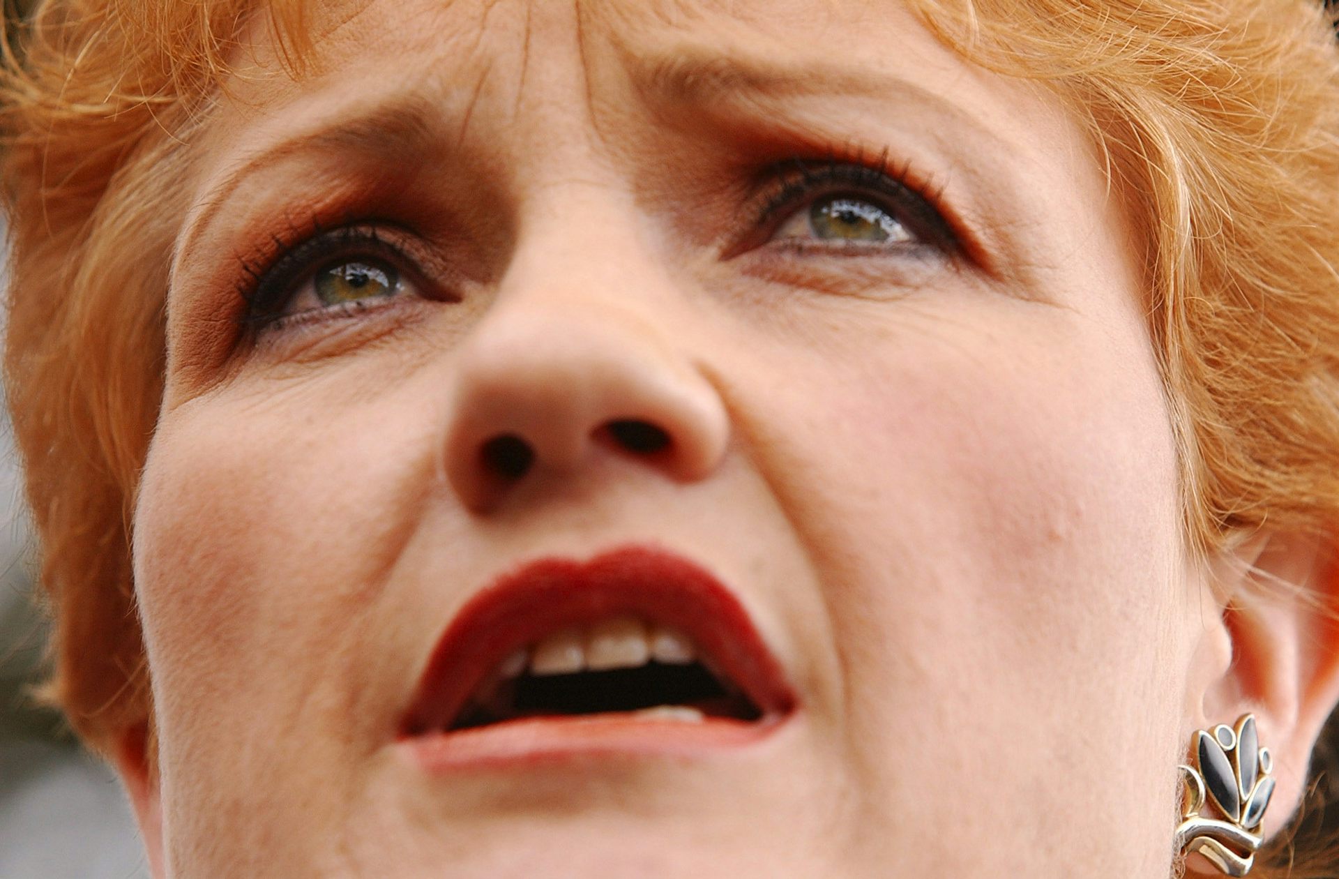 alt:Pauline Hanson looking frantic