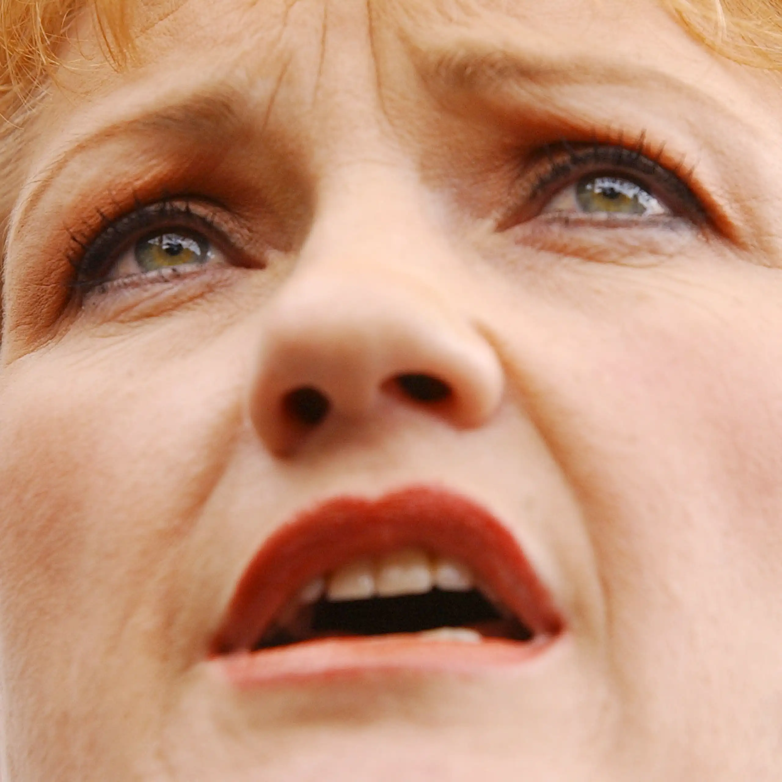 alt:Pauline Hanson looking frantic