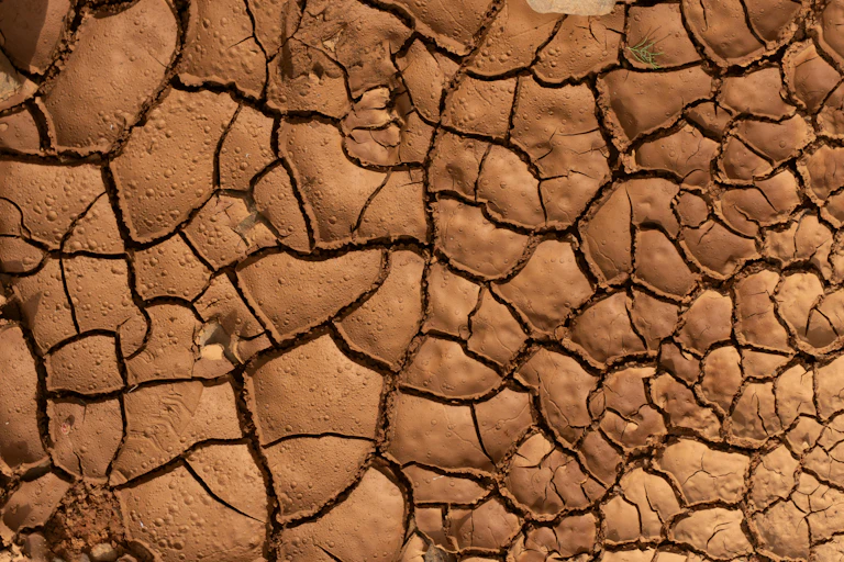 close-up image of cracked clay soil.