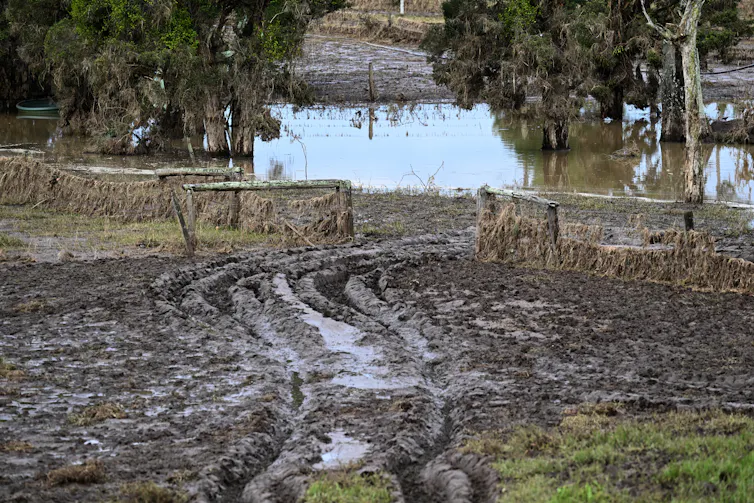 muddy track in flooded farm, body of floodwater and trees.