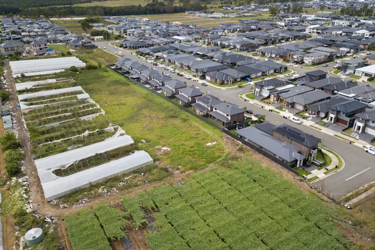 aerial view of farmland and new housing side by side in outer Sydney.